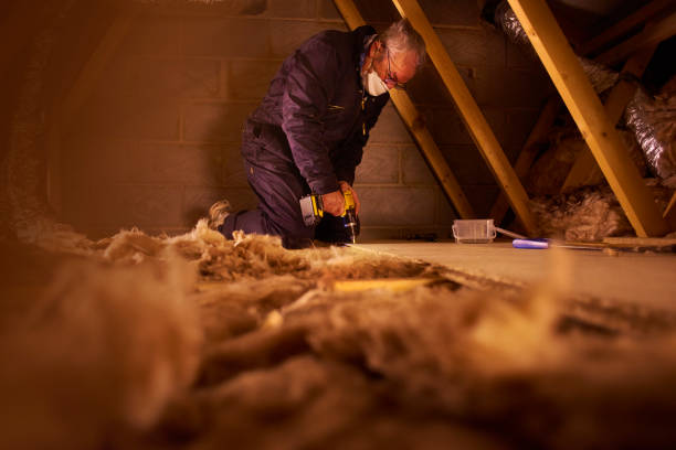 Best Crawl Space Insulation  in Corona De Tucson, AZ